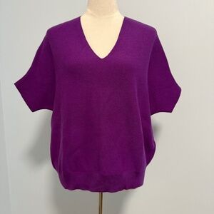 The Reset R Label 100% Wool Purple Essential‎ V-Neck Pullover Sweater L/XL